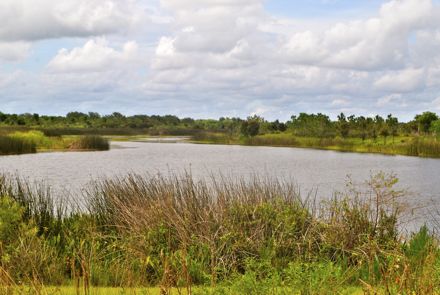 wellington environmental preserve